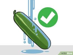 If possible, water your cucumbers with a soaker hose or drip irrigation to keep the foliage dry. 3 Ways To Preserve Cucumbers Wikihow