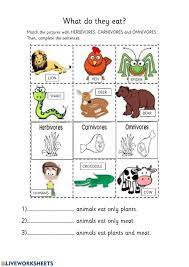 Omnivores defined as the animals that feed on plants and other animals for nutrition. Carnivore Herbivore Omnivore Worksheet
