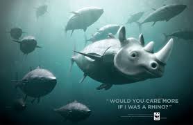 There S Plenty More Fish In The Sea Right Science Technology Environment
