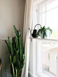the plant shelf: creating more room for