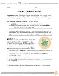 The cell cycle worksheet answer key worksheet resume. Gizmo Meiosis Part A