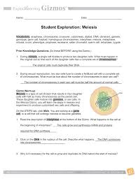 Gizmo answer key to flower pollination. Gizmo Meiosis Part A