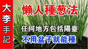 園藝種植 懒人種葱法 任何地方包括陽臺 不用盆子就能種 danger sign make it yourself crochet bag