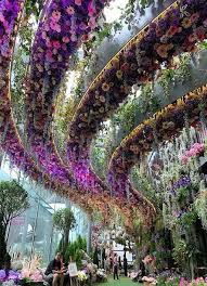 Floral Fantasy Gardens By The Bay Singapore Beautiful Gardens Beautiful Nature Beautiful Places