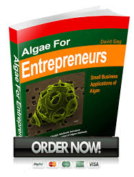 Read about the conditions required for algae to grow, and formulate a hypothesis to predict whether giving algae supplemental carbon dioxide would be a feasible way to increase algae growth. Algae Business Algae For Entrepreneurs Https Making Biodiesel Books Com