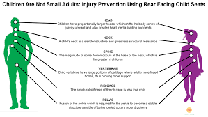 Pioneering Work Conducted In 1969 By A Guy Called Burdia And His Team Into Paediatric And Anatomical Considerations F Kids Seating Injury Prevention Pediatrics