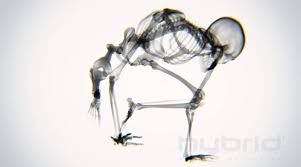 What X Ray Yoga Would Look Like How To Do Yoga Yoga Postures Yoga Poses