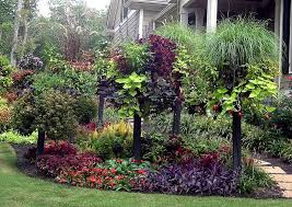 Amazing Waterwise Garden Waterwise Garden Outdoor Gardens Backyard Garden