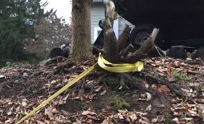 Read on for how to remove a stump. Removing Small Stumps Without Grinding Or Using Your Vehicle