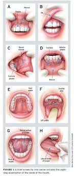 Pin En Odontology