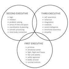 Image result for Higher Integrative Function