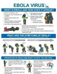 No antiviral medications have proved effective in treating infection with either ebola virus or marburg virus. Treatment For Ebola Through Homeopathy