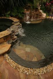 The Stabile Residence Swimming Pools Backyard Natural Pool