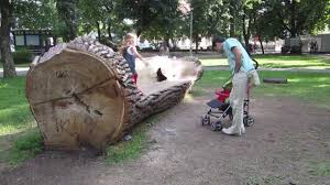 A Bench Made Of A Tree Trunk In Vilnius Youtube
