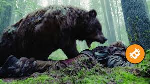 The best example of failing to hodl and realizing it was mistake happened in 1970. Bitcoin S Bear Markets A Guide To Bitcoin S Crashes And Comebacks Coincentral