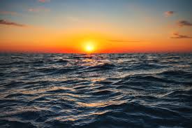 Image result for sea