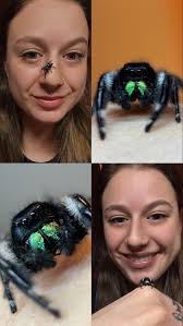 Someone jumped through an open window