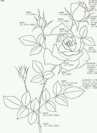 pin by maria da gloria oliveira on lindos riscos pintura em tecido flower drawing hungarian embroidery tapestry