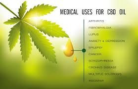 Cbd vape juice is specifically designed to be consumed dixie botanicals® infused cbd oils work in pretty much any vaporizer that uses vape liquids. Cbd Vaping Guide To Benefits And Effects Cbd Kyro