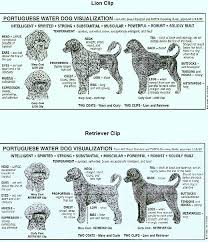 Pin On Grooming