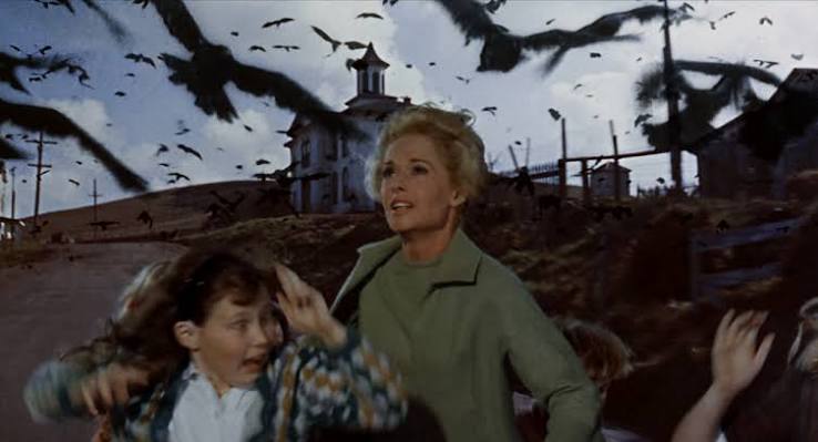 38 Facts About Alfred Hitchcock's 'The Birds' That You Probably Didn't Know  – Creepy Catalog