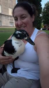 I swear Freya the Black Swedish duck is smiling for me:)