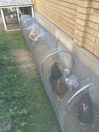 Click This Image To Show The Full Size Version Chicken Tunnels Chicken Coop Chickens Backyard