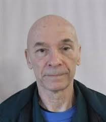 Attempted Murder Charges in Cobalt, Ontario, After Teenage Girl Hit by  Vehicle