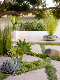 12 Photographers: Marion Brenner ideas