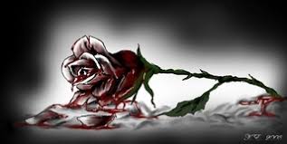 Pic of a bloody rose i'm using for my computer background and myspace. Bloody White Rose By Underabigailsrose On Deviantart