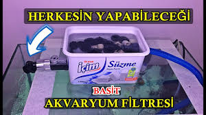 Yeni Icat Mini Dis Filtre Peynir Kutusundan Akvaryum Filtresi Youtube