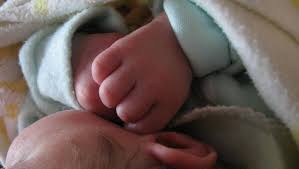 Many scientists believe humans are currently evolving third molar hypodontia, or the lack of wisdom teeth, due to their inability to develop in the first place. Babies Being Born Without Wisdom Teeth The Canberra Times Canberra Act