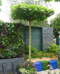 Interesting Things To Do With Trees Garden Design Garden Landscape Design Landscape Design