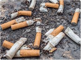 Ban Filter Cigarettes Reduce Plastic Waste