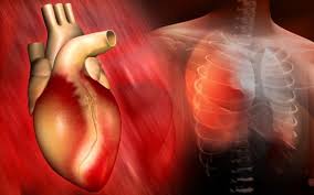 We did not find results for: Poy Briskontai Ta Basika Organa Toy Swmatos Eikones Onmed Gr