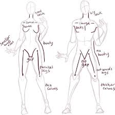 See more ideas about anatomy, anatomy drawing, anatomy reference. Male Vs Female Anatomy Essentials Awesome Websites With Male Vs Female Anatomy Anatomy Art Art Reference Poses Art Reference