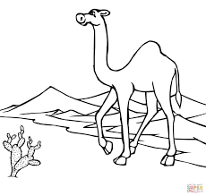 Here are just a number of awesome deserts coloring games you'll find at here. Camel In A Camel Caravan Coloring Page Coloring Home