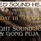All Night Sound Healing & Gong Puja event image