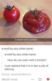 Biology Group Chat Names Tik Tok 26 Tumblr Posts That Are Never Not Funny Never Not Funny Tumblr Funny Dumb And Dumber