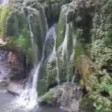 Anunțul a fost făcut de către reprezentanții regiei naționale a pădurilor romsilva. T I64zuo3kgx1m