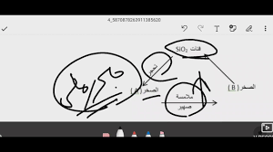 Maybe you would like to learn more about one of these? Ø­Ù„ Ø§Ù…ØªØ­Ø§Ù† Ø§Ù„Ø¬ÙŠÙˆÙ„ÙˆØ¬ÙŠØ§ Ø§Ù„ØªØ¬Ø±ÙŠØ¨ÙŠ Youtube