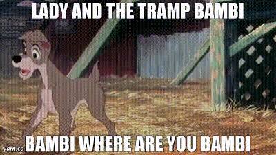 YARN | LADY AND THE TRAMP BAMBI BAMBI WHERE ARE YOU BAMBI | Lady and the  Tramp (1955) Romance | Video gifs by quotes | e08d8459 | 紗