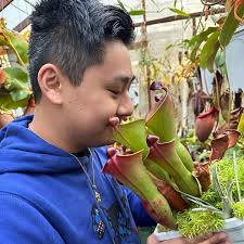 Don't forget to smell your Heliamphora but in like, not a weird way… Many  species and crosses of Heliamphora make a sweet, honey like scent that is  quite nice! . . . . . . . #