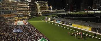 Get the best sha tin race results at hong kong turf. Happy Valley Racecourse Racecourse Booking Racecourses Entertainment The Hong Kong Jockey Club