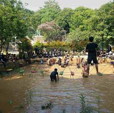 Pondok indah waterpark tiket masuk untuk 1 orang murah. Tempat Wisata Depok Bernuansa Alam Yang Menarik Untuk Dikunjungi