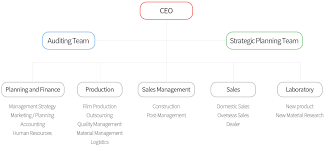 Organization Chart Korean Infrared Carbon Heating Film