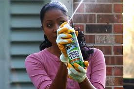 The Best Wasp Spray Options For Diy Pest Control Bob Vila