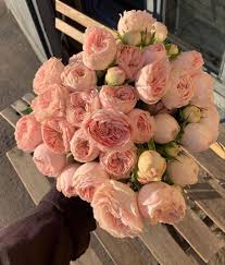 Pin By Kaia Jackson On Flora In 2020 Flower Aesthetic City Flowers Pretty Flowers
