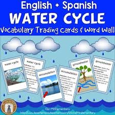 Water Cycle Vocabulary Cards And Word Wall This Is A Set Of 16 Water Cycle Vocabulary Cards Water Cycle Vocabulary Word Walls