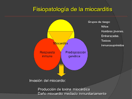 La miocarditis es un trastorno poco frecuente, que en la mayoría de los casos es causado por una infección que termina por afectar el. Miocarditis Ppt Descargar